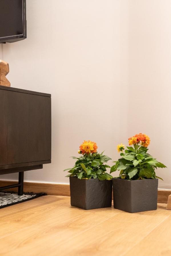 אתונה Acropolis Exclusive Apartment מראה חיצוני תמונה